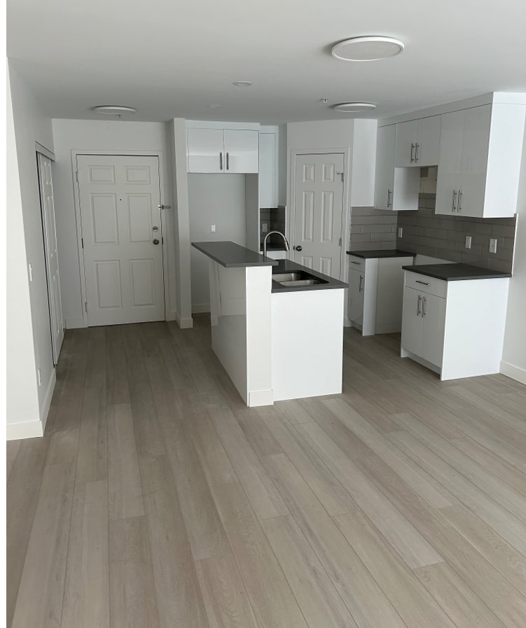 Zebrano Renovation Project 10