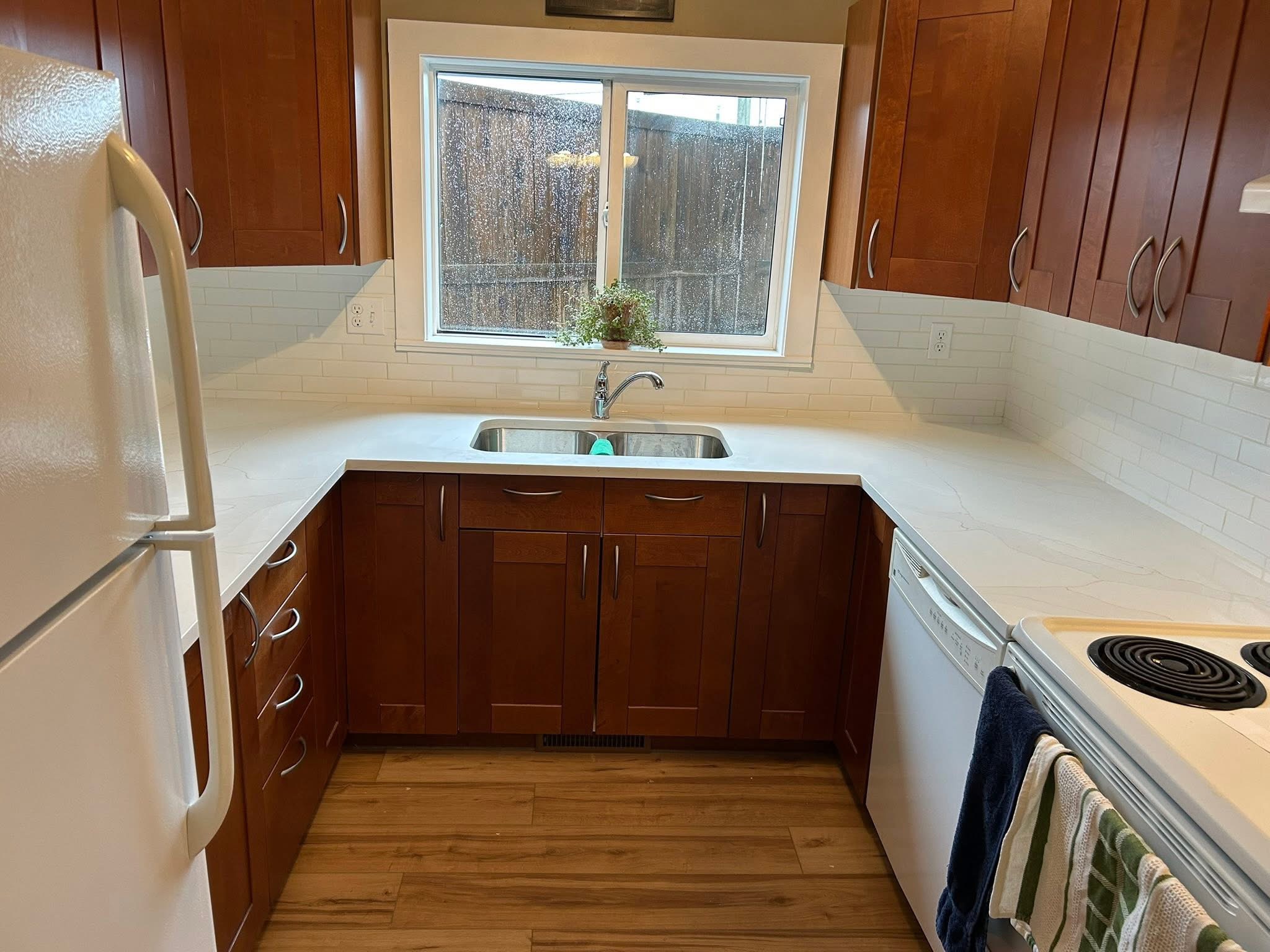 Zebrano Renovation Project 3